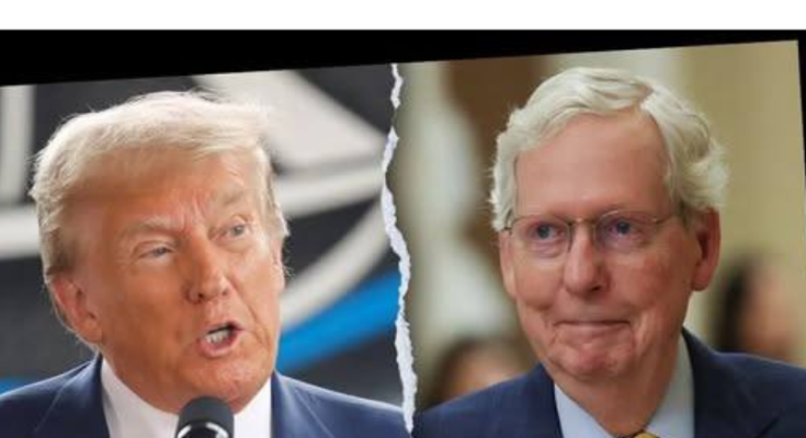 Trump vs Mitch McConnell RINO plot stopped