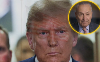 Trump outmaneuvers Schumer on DHS funding