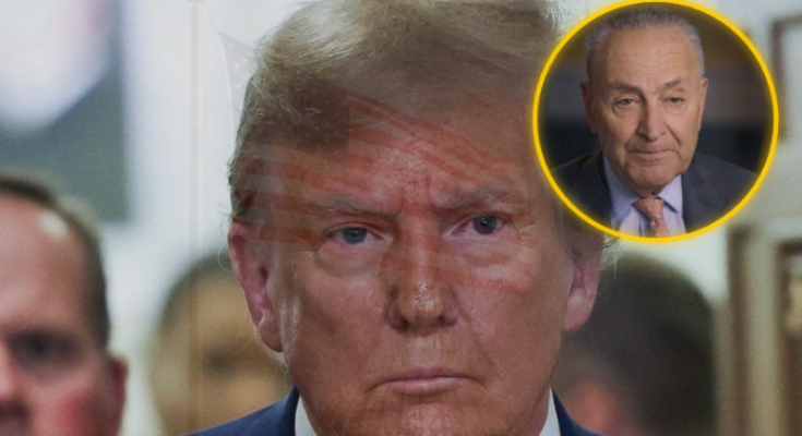 Trump outmaneuvers Schumer on DHS funding