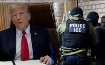 Trump appeals court ruling on ICE detention