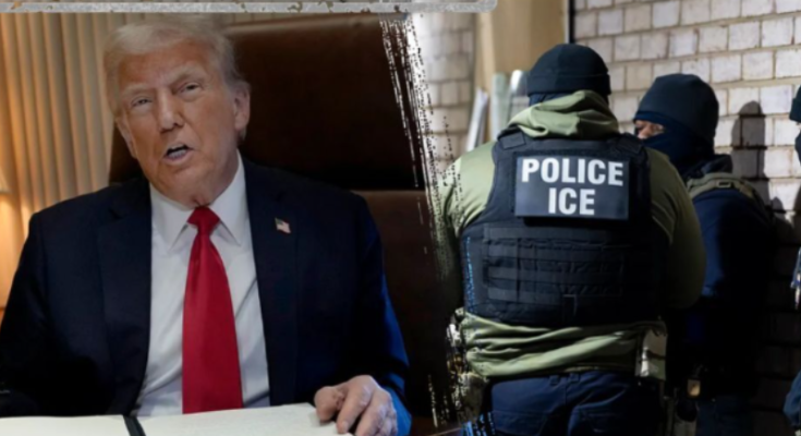 Trump appeals court ruling on ICE detention