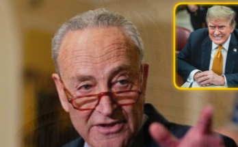 Chuck Schumer quits after scandal, should face jail