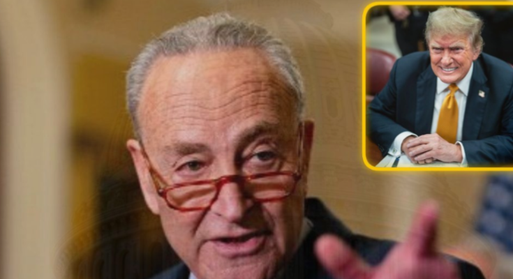 Chuck Schumer quits after scandal, should face jail