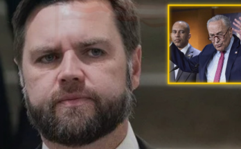 JD Vance rushed to Senate over tied vote