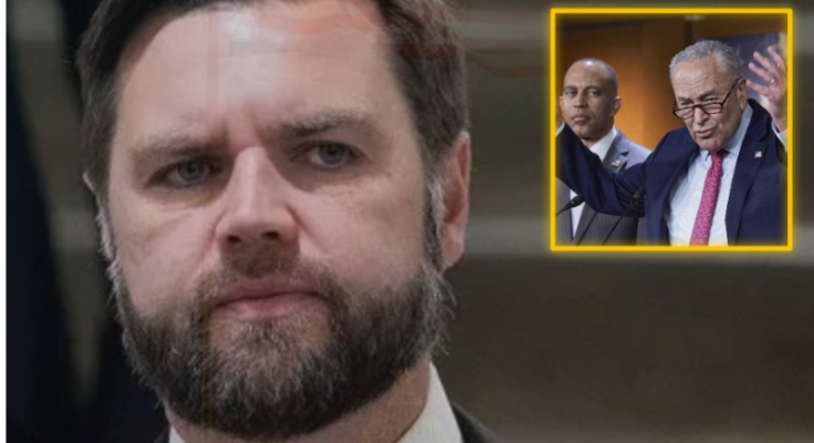 JD Vance rushed to Senate over tied vote