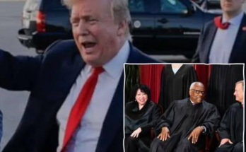 Supreme Court 8-1 emergency ruling for Trump