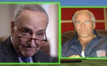 Jeffrey Epstein fallout: Democrat resigns over scandal