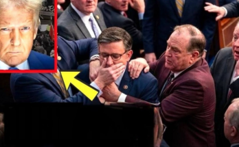 House votes 213-203 Republicans pass bill Trump