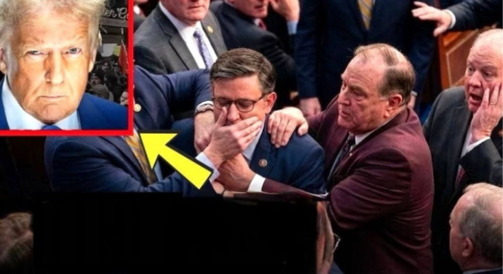 House votes 213-203 Republicans pass bill Trump