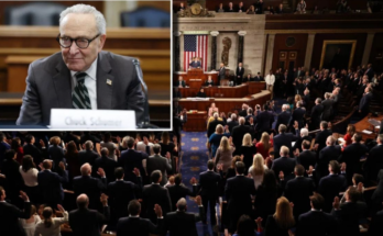 Chuck Schumer stabbed in back by top Democrat