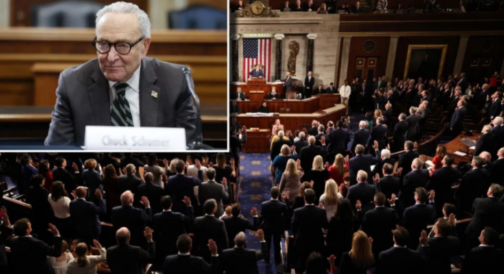 Chuck Schumer stabbed in back by top Democrat