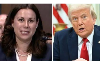 Biden judge gives Trump 48-hour deadline