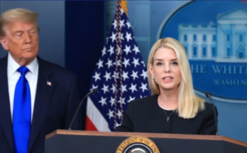 abstract 3D design colorful layered shapes