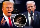 donald Trump speaking at microphones with inset image of hands clasped over open Bible