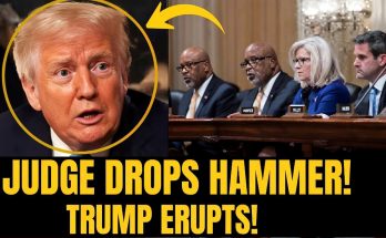 panel of officials discuss as Trump reacts, highlighting courtroom drama