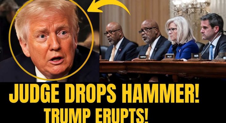 panel of officials discuss as Trump reacts, highlighting courtroom drama