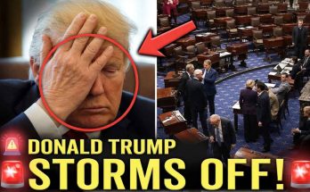 donald Trump in frustration, Senate meeting, political tension