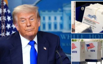 donald Trump at White House press briefing on mail-in voting issues