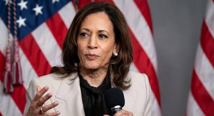 woman speaking with American flags in background, holding microphone