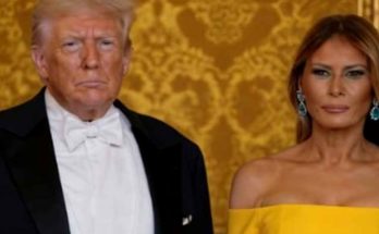 elegant couple in formal attire at a distinguished event