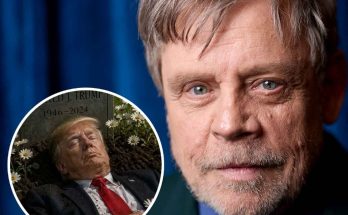 mark Hamill faces controversy over Trump grave post, White House reacts