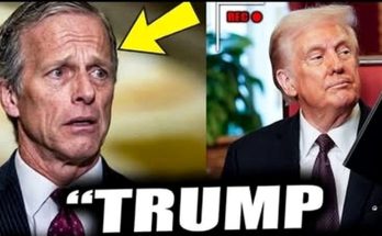 trump celebrates victory over John Thune in political setting