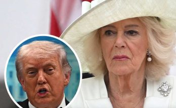 elderly woman in white hat with inset of speaking man, serious expressions