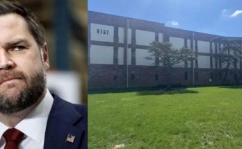 three images showing a man, a building, and a close-up outdoors