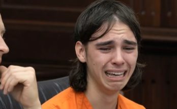 snipaste speaking in a news photo