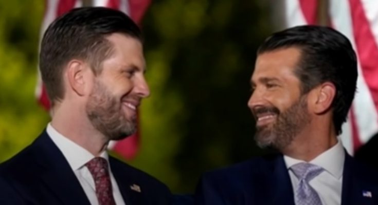 don Jr and Eric Trump smiling, American flags in background