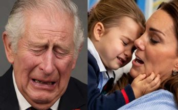 emotional royal moments, contrasting scenes, heartfelt expressions